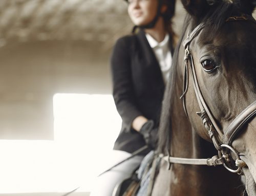 El arte de la equitación y el bienestar: Vivir la pasión hípica desde Omala Residences